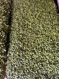 Green Mustard Microgreens - 2oz Clamshell